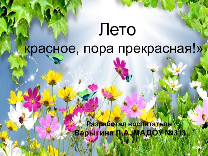 «Лето красное, пора прекрасная!»Разработал воспитатель Варыгина Л.А. МАДОУ №313