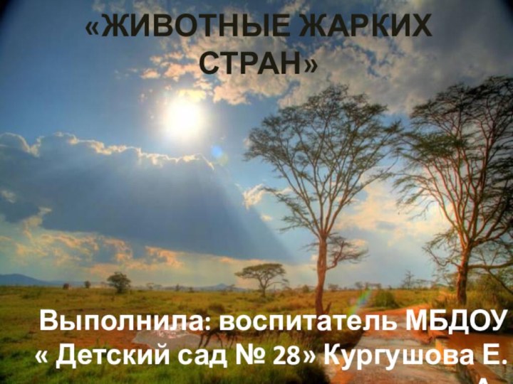 «ЖИВОТНЫЕ ЖАРКИХ СТРАН»Выполнила: воспитатель МБДОУ « Детский сад № 28» Кургушова Е.А..