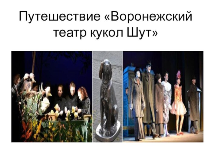 Путешествие «Воронежский театр кукол Шут»