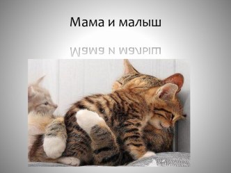 Презентация  Мама и малыш презентация к уроку (подготовительная группа)
