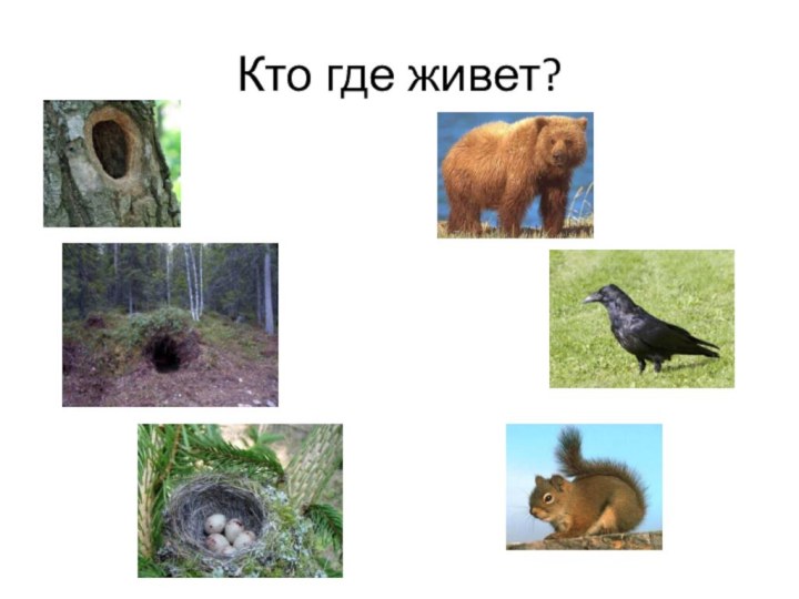 Кто где живет?