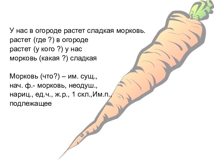 У нас в огороде растет сладкая морковь.растет (где ?) в огородерастет (у