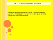 Формирование сенсорных эталонов у детей младшего дошкольного возраста и их значение для дальнейшего успешного развитие ребёнка. консультация по теме