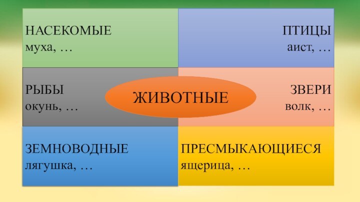 НАСЕКОМЫЕмуха, …ПТИЦЫаист, …РЫБЫокунь, …ЗВЕРИволк, …ЖИВОТНЫЕЗЕМНОВОДНЫЕлягушка, …ПРЕСМЫКАЮЩИЕСЯящерица, …