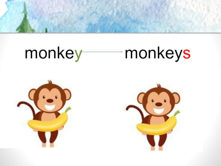 monkey monkeys