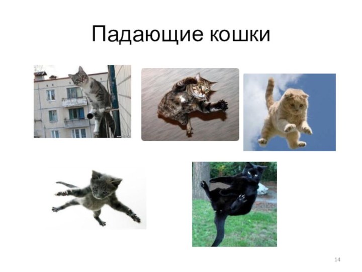 Падающие кошки