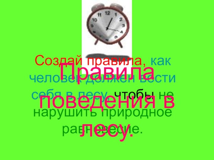 Создай правила, как человек должен вести себя в лесу, чтобы не нарушить