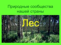 Лес. Животные. презентация к уроку по окружающему миру (2 класс)