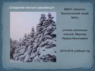 Презентация к экологичекой акции: Сохраним лесную красавицу! презентация к уроку по окружающему миру (1 класс)