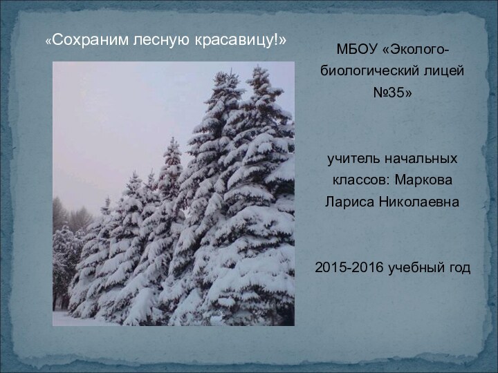 МБОУ «Эколого-биологический лицей №35» учитель начальных классов: Маркова Лариса Николаевна2015-2016 учебный год«Сохраним лесную красавицу!»