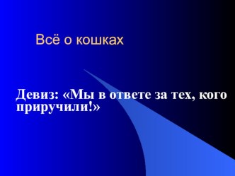 презентация всё о кошках