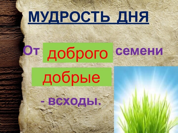 МУДРОСТЬ ДНЯ    От