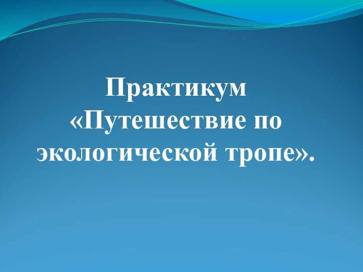 Практикум «Путешествие по экологической тропе».