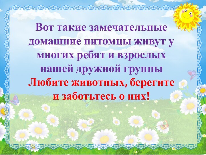 Вот такие замечательные домашние питомцы живут у многих ребят и взрослых нашей