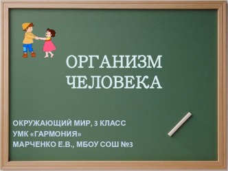 Организм человека (3 класс, УМК Гармония) презентация к уроку по окружающему миру (3 класс) по теме