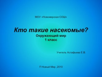 Кто такие насекомые? 1 класс к учебнику А.А. Плешакова методическая разработка по окружающему миру (1 класс) по теме