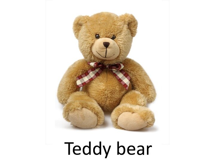 Teddy bear