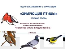 Занятие по ознакомлению с окружающим Зимующие птицы план-конспект занятия по окружающему миру (старшая группа)