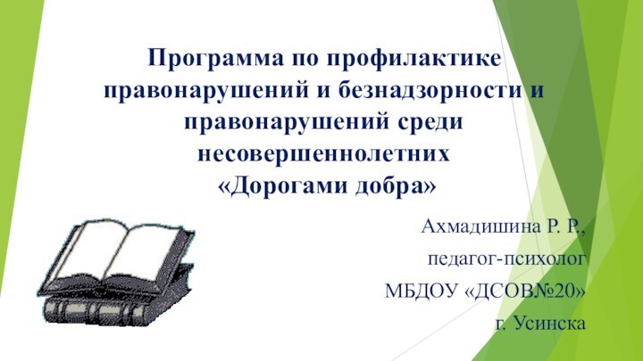 Программа по профилактике правонарушений и безнадзорности и правонарушений среди