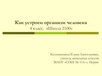 Презентация к уроку окружающего мира Как устроен организм человека. 4 класс. ОС Школа 2100 презентация к уроку по окружающему миру (4 класс) по теме