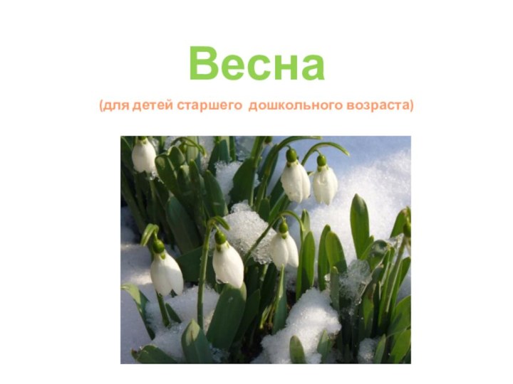 Весна (для детей старшего дошкольного возраста)