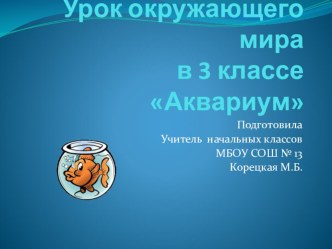 презентация к уроку окружающего мира Аквариум-искусственная экосистема презентация к уроку (окружающий мир)