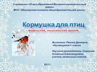 Проект Кормушка для птиц проект (3, 4 класс)