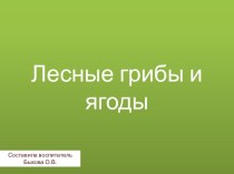 Лесные грибы и ягоды. презентация к уроку по окружающему миру (средняя группа) по теме