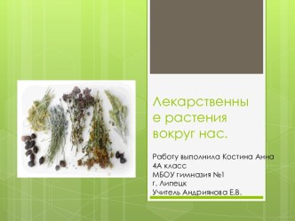 Лекарственные растения вокруг нас. презентация к уроку по окружающему миру (4 класс)