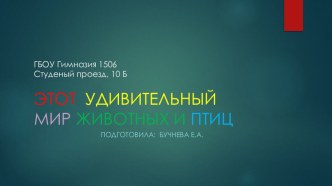 Презентация Этот удивительный мир животных и птиц презентация к уроку по окружающему миру (подготовительная группа)