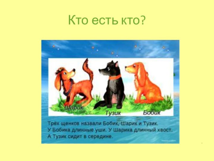 Кто есть кто?