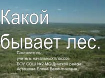 Какой бывает лес. презентация к уроку по окружающему миру (1 класс) по теме