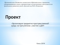 Проект Организация предметно-пространственной среды на прогулочном участке в ДОУ проект (старшая группа)