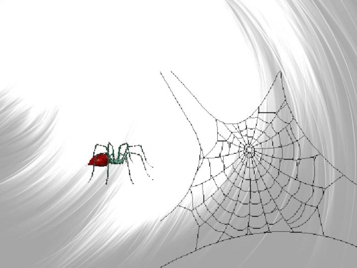 Вот паук