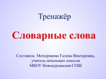 Тренажёр Словарные слова тренажёр по русскому языку (2, 3 класс)