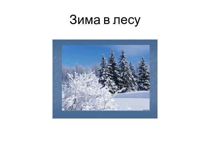 Зима в лесу