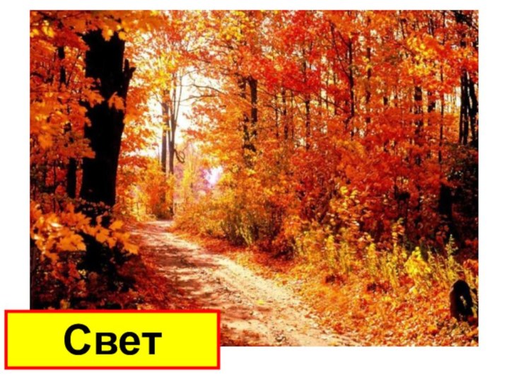 Свет осени