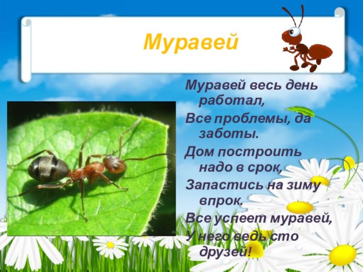 Муравей Муравей весь день работал,Все проблемы, да заботы.Дом построить надо в срок,Запастись