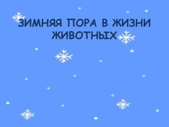 Зима в жизни животных. занимательные факты (средняя группа)