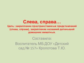 Домашние животные. Справа - слева презентация по развитию речи по теме