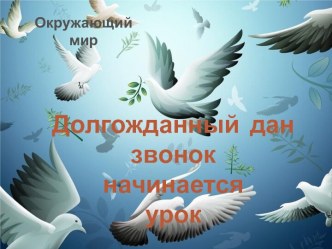 Как помочь птицам зимой ? план-конспект урока по окружающему миру (1 класс)