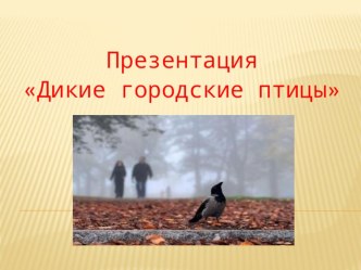 Презентация: Дикие городские птицы методическая разработка по развитию речи (средняя группа)