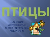 Презентация Птицы презентация к уроку (средняя группа)