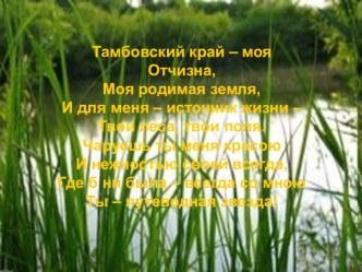 kopiya cveti tambovskaya zemlya