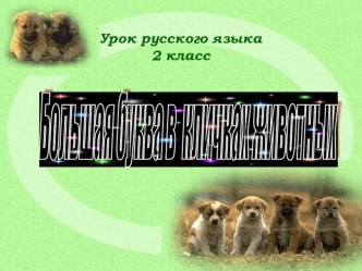 Большая буква в кличках животных (презентация) презентация к уроку русского языка (2 класс) по теме