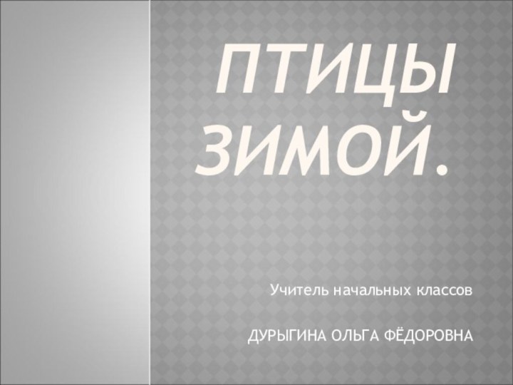 ПТИЦЫ  ЗИМОЙ.Учитель начальных классовДУРЫГИНА ОЛЬГА ФЁДОРОВНА