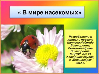 Проект В мире насекомых проект по окружающему миру (средняя группа)