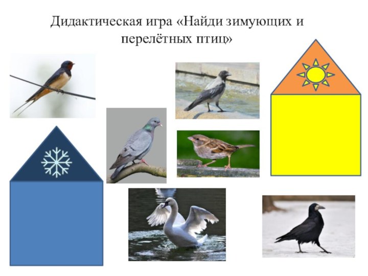 Дидактическая игра «Найди зимующих и перелётных птиц»