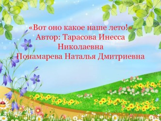 Вот оно какое наше лето! презентация к уроку (средняя группа)