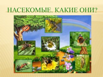 Презентация Насекомые. Какие они? презентация к уроку по окружающему миру